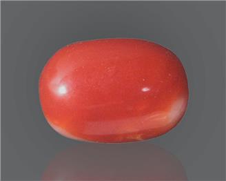 Natural Red Coral (J)  8.67 RTS - 64999